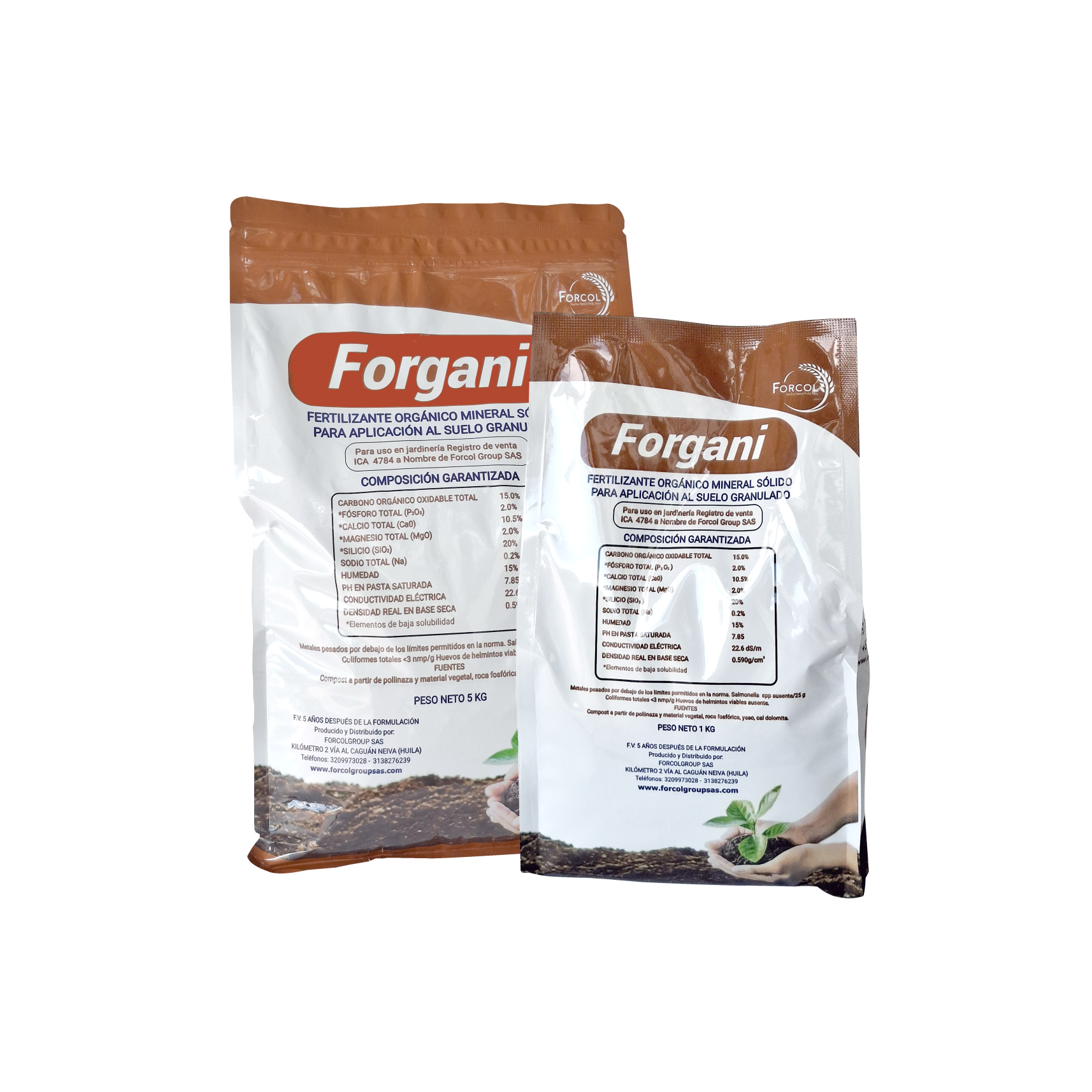 Forgani Forgani